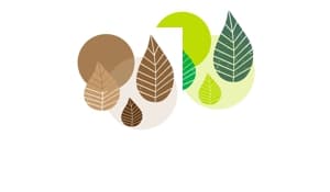 Graphic Leaves Partyset