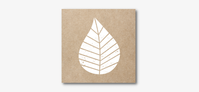 Graphic Leaves Partyset