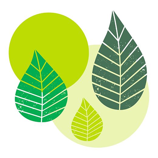 Servett, 3-lags 1/4-vikt 40 cm x 40 cm grön "Graphic Leaves" 1