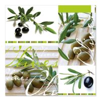 Servett, 3-lags "Design Edition" 1/4-vikt 33 cm x 33 cm "Olives"