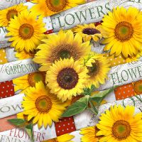 Servett, 3-lags 1/4-vikt 33 cm x 33 cm "Sunflower Field"