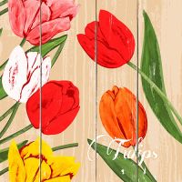 Servett, 3-lags 1/4-vikt 40 cm x 40 cm "Blooming Tulips"