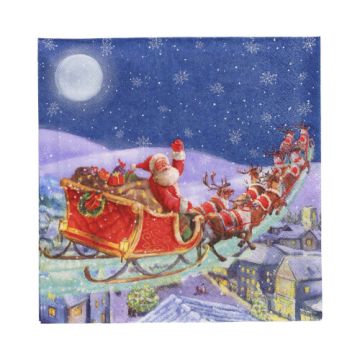 Servetter, 3-lagers 1/4-vikt 33 cm x 33 cm "Santa is coming"