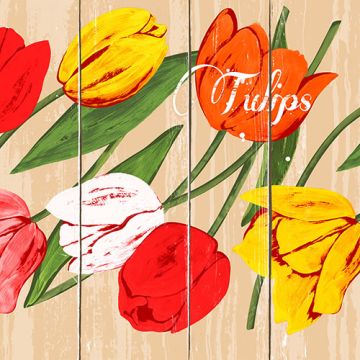 Servetter, 3-lagers 1/4-vikt 33 cm x 33 cm "Blooming Tulips"