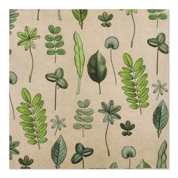 Servetter, 3-lagers 1/4-vikt 33 cm x 33 cm "Botanical Fantasy"