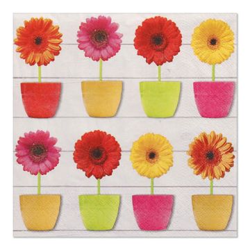 Servetter, 3-lagers 1/4-vikt 33 cm x 33 cm "Glowing Gerberas"