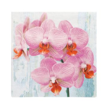 Servetter, 3-lagers 1/4-vikt 33 cm x 33 cm "Phalaenopsis"