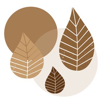 Servetter, 3-lagers 1/4-vikt 40 cm x 40 cm natur "Graphic Leaves"