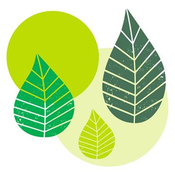 Servetter, 3-lagers 1/4-vikt 40 cm x 40 cm grön "Graphic Leaves"